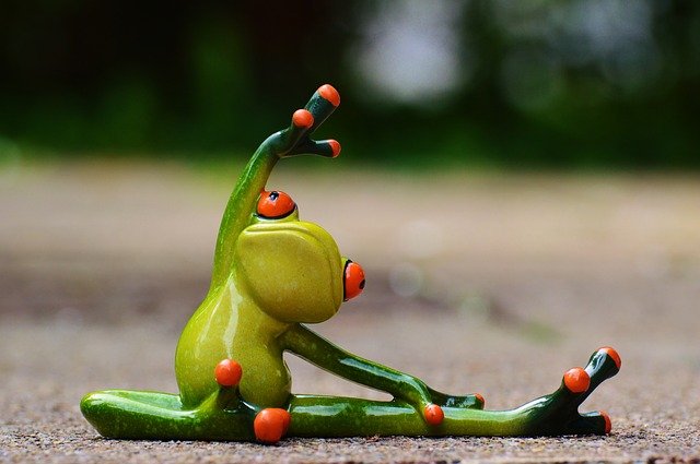 frog in yoga pose